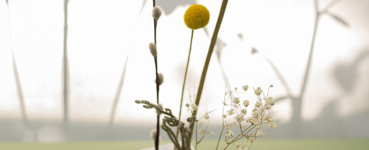 NaturnaherGartenbau Philosophie