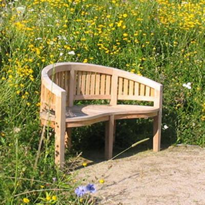 Blumenwiese Blumenwiese