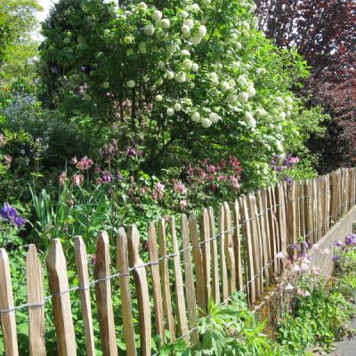Guerilla Gardening: Der Garten erobert den angrenzenden Gehweg