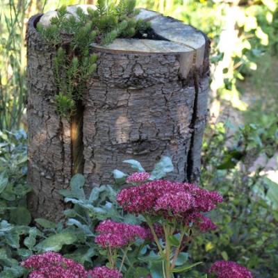 Auch eine Möglichkeit ein Schwedenfeuer zunutzen