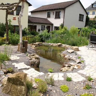 Teichanlage 1 Jahr nach ihrem Bau