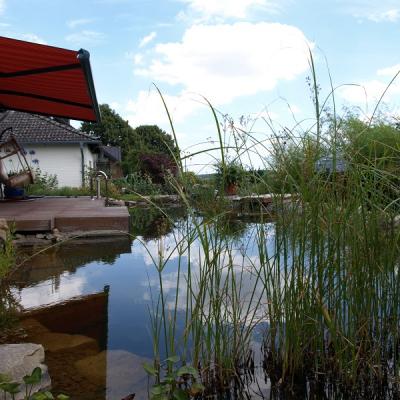 Schwimmteich nach 3 Jahren, die Teichpflanzen erfüllen ihre Funktion
