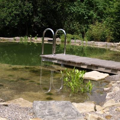 Pflanzenwachstum nach einem Jahr und schon klares Wasser