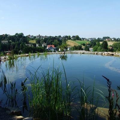 Schwimmteich in Herdecke
