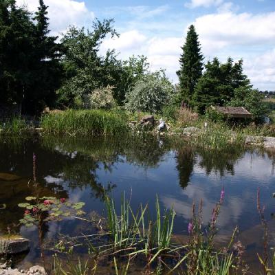 Schwimmteich in Herdecke auf zwei Ebenen, 2- Kammersystem
