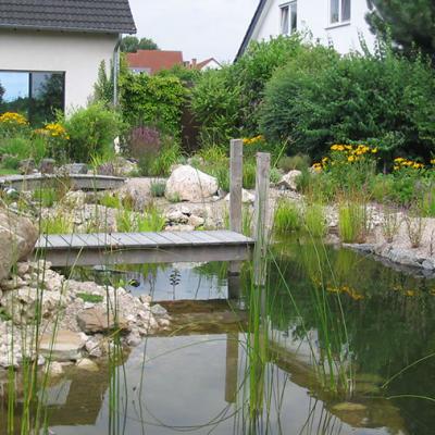 Schwimmteich nach 2 Jahren