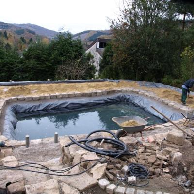 Das Substrat für den Regenerationsbereich wird eingebracht.