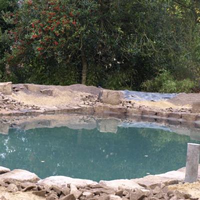 Nun kann der Teich komplett befühlt werden.