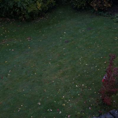 Wo später der Schwimmteich ist, war zuvor lediglich eine extrem stark abfallende Rasenfläche